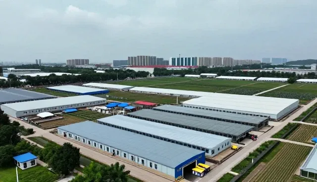 线上店铺运营中物流优化的关键关注点